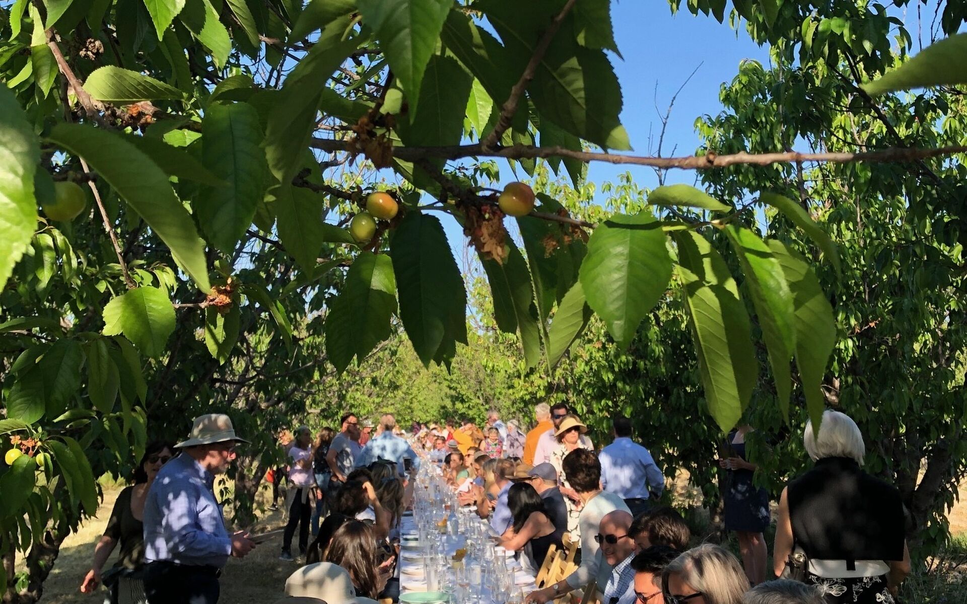 Jacobs Farm del Cabo is "Outstanding in the Field" Jacobs Farm / del Cabo